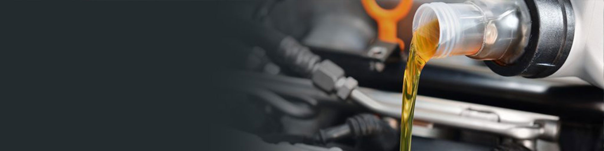 Car Servicing & Repairs Near You In Honiton & Exeter, Devon